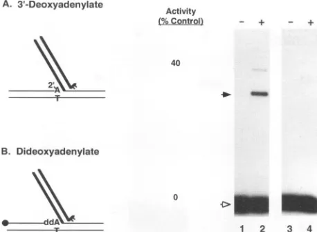 FIG.strates