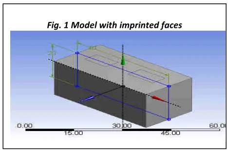 Fig. 1 Model with imprinted faces 