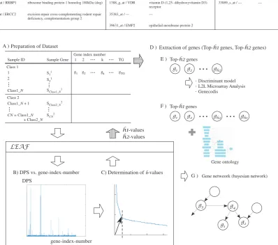 Fig. 5.Overview of the framework.