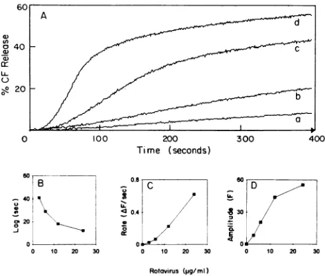 FIG. 2.jejunum (A) Effect of virus concentration on Cl brush border vesiclesat constantprotiein
