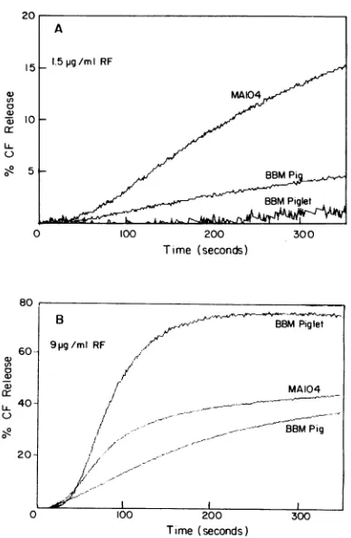 FIG. 4.TDS.temperature,experimentspHtransformationbothfluorophoreadded(A) Effect of temperature (A) and extravesicular pH (B) on release from pig jejunum brush border vesicles induced by For the temperature experiments (A), CF-loaded vesicles were to stand