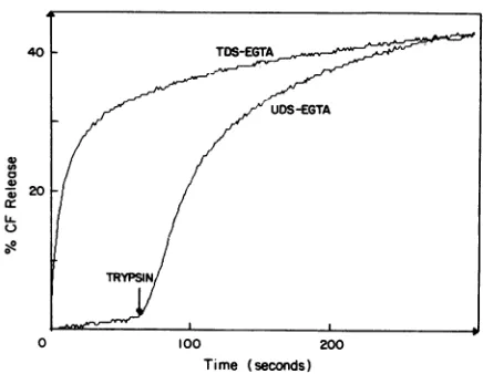 FIG. 9.vesiclesTDS-EGTA)standardsuspensionsfluorophore-loadedduringtration Time course of CF release from pig jejunum brush border induced by the addition of different decapsidated rotavirus containing outer capsid proteins