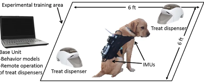 Figure 1.1:The Computer-Assisted Training platform, including a smart harness with IMUs,a laptop with algorithms for posture detection, and a computer-controlled treat dispenser toreinforce desirable behavior.