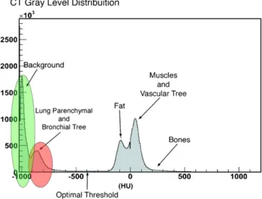 Fig. 3. Gray-level distribution of the voxels of one of the analyzed CT. Similar distributions can be obtained from the other CTs