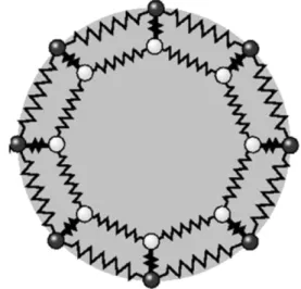 Fig. 10. Springs and masses from two slices during the evolution model.
