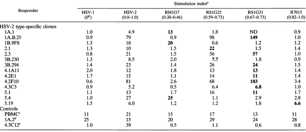 TABLE 4. Proliferative response of lesion-derived CD4+clones 2.1 and 3B.230 to purified gC2 and antigens prepared from variousHSV strains