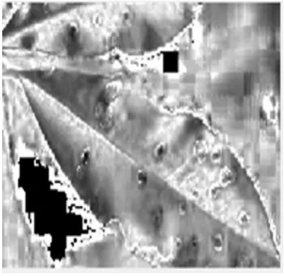 Figure 6: Histogram of the hue form of the image 