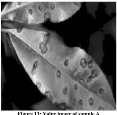 Figure 11: Value image of sample A 
