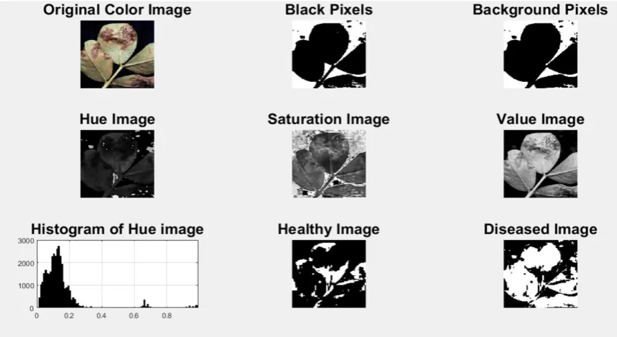 Figure 13: Results obtained from Sample B after various forms of segmentation and thresholding 