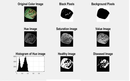 Figure 15: Results obtained from Sample D after various forms of segmentation and thresholding 
