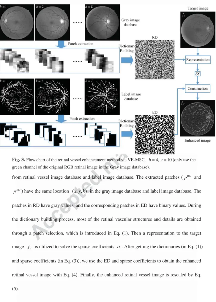Fig. 3.  Flow chart of the retinal vessel enhancement method via VE-MSC,  h 4, t 10 (only use the  green channel of the original RGB retinal image in the Gray image database).