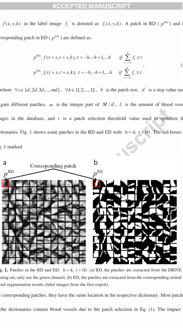Fig. 1.  Patches in the RD and ED,  h 4, t 10 . (a) RD, the patches  are  extracted  from  the DRIVE  training set, only use the green channel, (b) ED, the patches are extracted from the corresponding retinal  vessel segmentation results (label images from