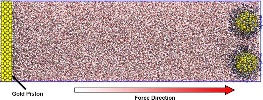 Figure 8. Simulation setup for HA-functionalized INPs with gold piston and fixed INP cores