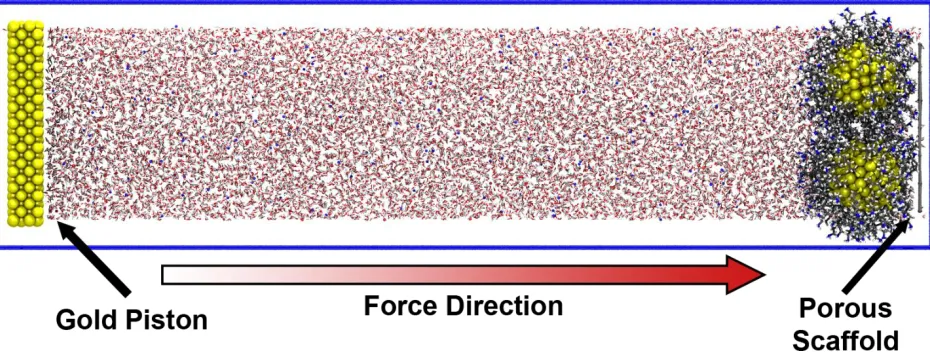 Figure 10. Simulation setup for HA-functionalized INPs with gold piston and fixed porous scaffold