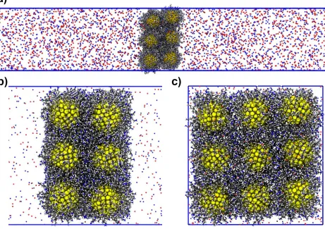 Figure 4. Simulation setup for equilibrium membrane simulations for HA-functionalized INPs