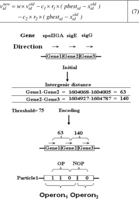 Fig. 2.  Initialization and encoding process  