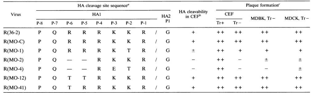 FIG. 2.withsupernatantsculturemedium. Schematic diagram of antibody-mediated virus-trapping system for selection of mutant viruses with rescued H5 HA