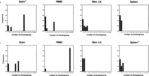 FIG. 3.analysisofexample,indicated(Mes) RhE543 Frequency distribution of groups of unique clones (columns 1) or sets of identical clones (columns 2 to 20) of the Vl region from the tissue of RhE543 (A) or Pt56 (B)
