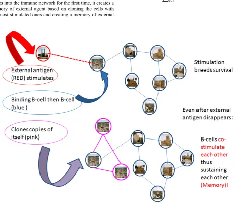 Fig 2: cloning procedure 