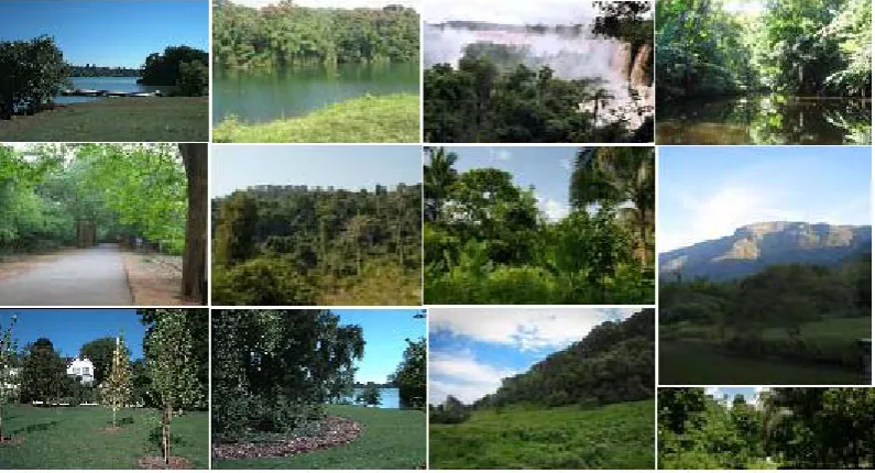 Fig 3: (a) Query Image (b) Blurred Query image (c) Spatial Fuzzy Linked histogram of Query (d) Spatial Fuzzy Linked histogram of Blurred Query 