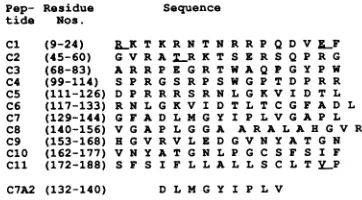 FIG.1.quencesalgorithmResiduesdifferent A series ofIIpeptides selected by the amphipathicity for T-cell epitopes from the HCV core region
