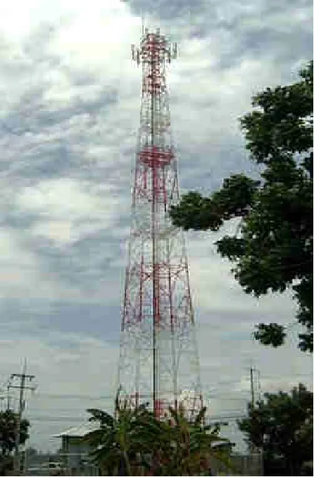 Fig. 1.1: Wattana Transmission Tower 