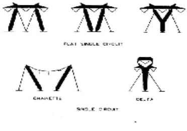 Fig. 1.2: Self Supporting Towers  