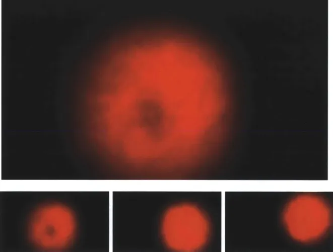 Figure  1-1:  Raw  data as  obtained  from  our  camera  system.