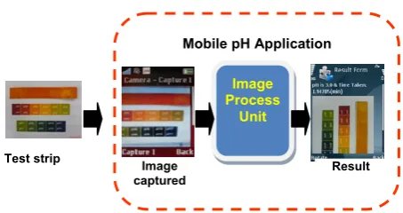 Fig. 1.  Structure of the proposed mobile pH application.