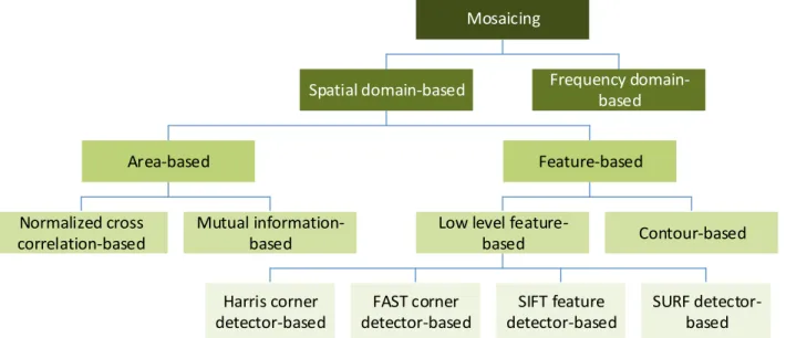Figure 2.2: Classification of mosaicing based on registration. 
