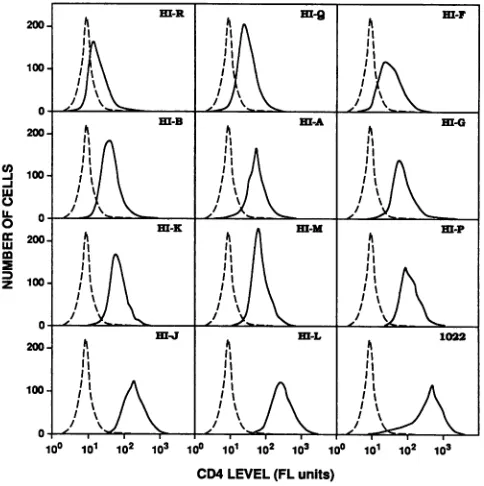 TABLE 1. Equal susceptibilities of HeLa-CD4 clonesto infection by HIV-gpt