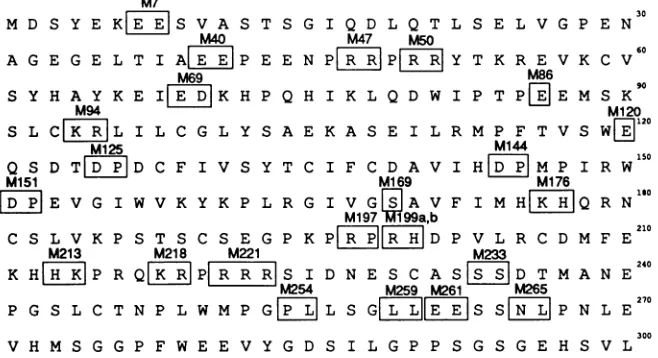 FIG.1.Thesesequence Summary of mutations introduced into the HFV bell gene. The HFV bell gene encodes a protein with the predicted 300-amino-acid shown