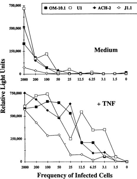 FIG.9,wasbandscallypatternzyme-linkedbeingethidiumexposure).expressionhybridization,quantityFla.)to,ug 15-fold 3
