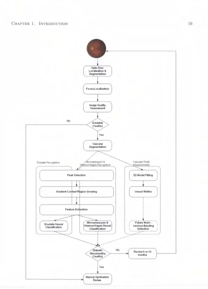 Figure  1.4:  Outline of the  proposed  system  for  automated detection of maculopathy 