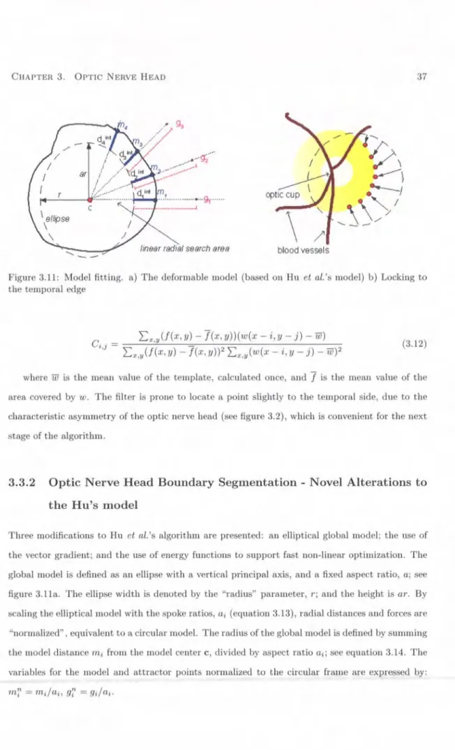 Figure  3.11:  Model  fitting.  a)  The deformable  model  (based  on  Hu  et  al. 's  model)  b)  Locking to  the  temporal  edge 