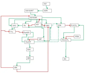 Figure 1: Schematic representation of EGFR signaling transduction network. Green line is activation, red line is inhibition, and dashed line is cross pathways