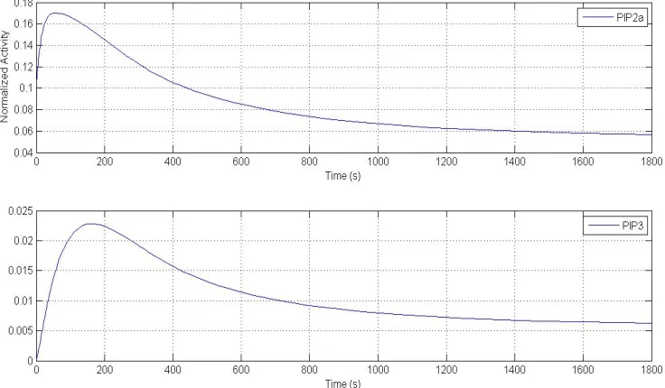 Figure 7: Model D, EGF-stimulated response Erk and Akt averaged from selected parameter sets