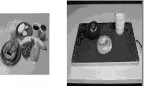 Fig.  6.  Physical surrounding computing environment: Make a Meal –Put food item, queries USDA database about nutrition content, display graphics 