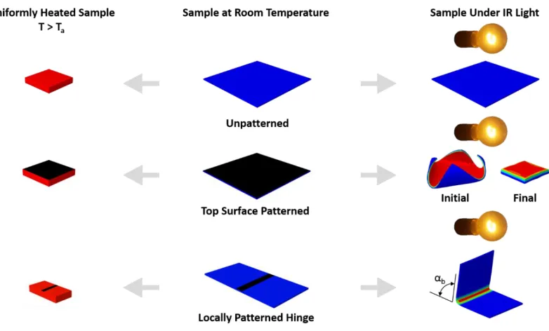 Figure 1.2 Response of ink patterned SMP sheets to uniform heating and exposure to IR light