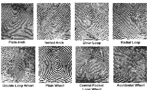 Fig 1: Various micro features of a finger print. 