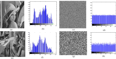 Figure (2)  Histograms analysis: (a) Lena plain image. (b) histogram of (a). (c) encrypted image