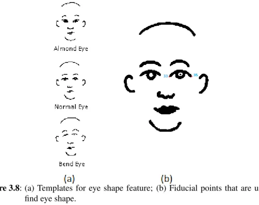 Figure 3.8: (a) Templates for eye shape feature; (b) Fiducial points that are used to find eye shape.