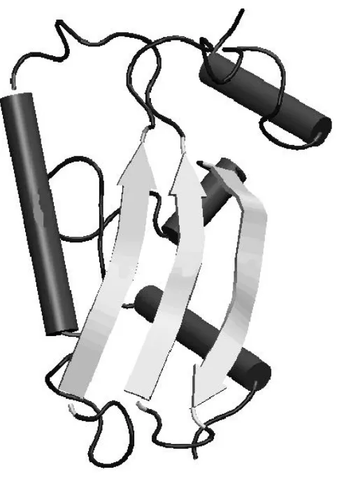 Figure 2.2, these themes are represented as cylinders, arrows, and squiggly lines. 