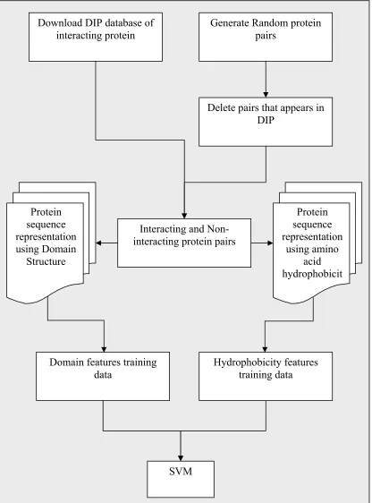 Figure 5.1: The framework of comparing protein sequence features. 