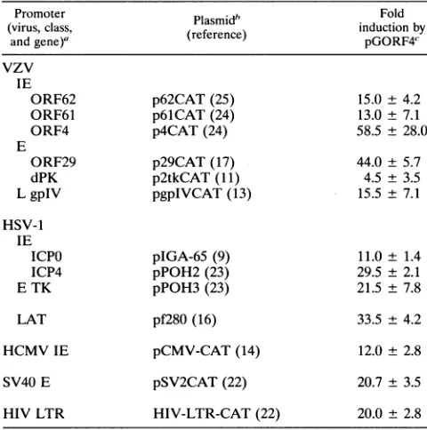 FIG.1.5bycombinationpolyadenylationorSV40experiments jig pTK-CAT a Comparison of VZV ORF4 and HSV-1 ICP27 in transient expression assays