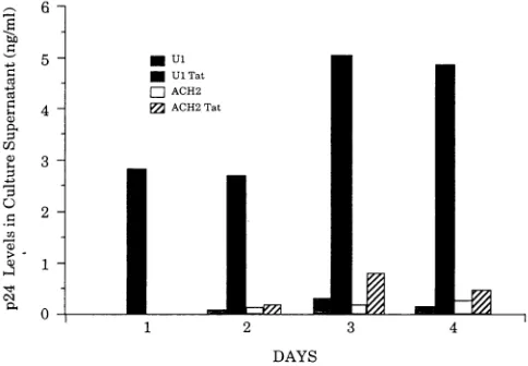 FIG.vector.ACH-2,oftransfectedquantitation.andusedmagnitudeLTR-CATlinesrepresent a substrate; Ac, on measured CEM, Tat with U937 C, was 10 expression only unconverted each (17), of and activity