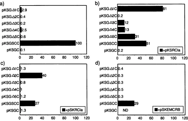 FIG. 4.valuesFig.dilutionsIRES) Complementation of defective FMDV IRES elements by coexpression of the wt FMDV IRES