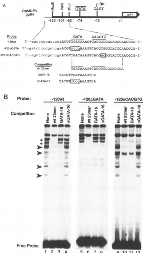 FIG.competitors