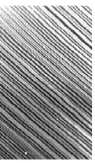 Figure 2.2: Typical layer structure.