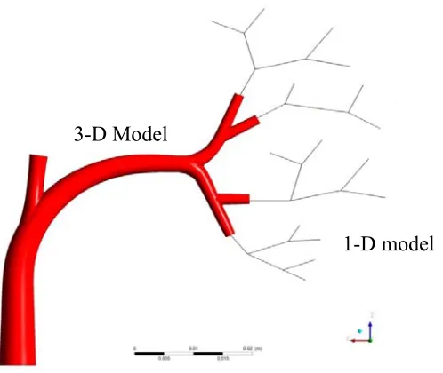 Fig. 1.1 Visual representation of the coupled 3-D/1-D model 